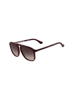 Buy Full Rim Acetate Square Sunglasses CK4317S-604-5815 in UAE