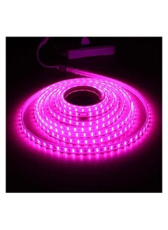 Buy Pink LED lighting strip, 5 meters, with connector in Egypt