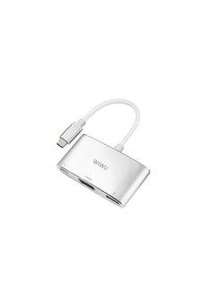 Buy Alpha 3 In 1 USB-C Hub C2H - Gray in UAE