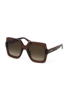 اشتري Women's Square Shape  Acetate Sunglasses SJC023 530AAK - Lens Size: 53 Mm - Shiny Transp.Brown في السعودية