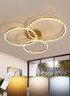 Buy Modern LED Ceiling Light/Gold/Aluminum Ring/Stepless Dimmable in UAE