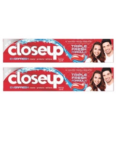 Buy Close Up Red Hot Triple Fresh Formula Toothpaste 100ml pack of 2 in UAE