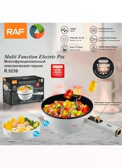 اشتري RAF Multi-Function Electric Pot With Long Handle & Adjustable Temperature Knob 1300W 5L+4L Capacity في الامارات