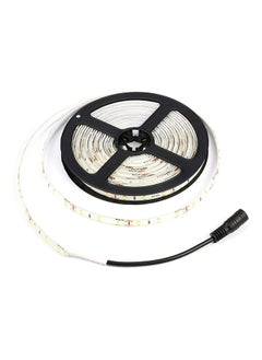 Buy Oak Leaf 16.4ft Waterproof Flexible LED Strip Lights 300 Units Smd 2835 LED Daylight White LED Tape 12v in Egypt