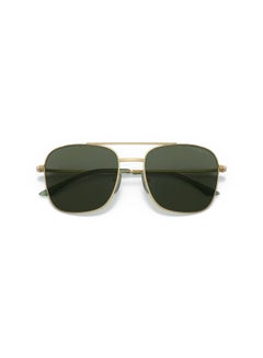 Buy Full Rim Square Sunglasses 4204SI-56-280-71 in Egypt