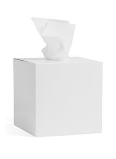 Buy 2 Ply Facial Tissue 100 Sheets in a Cube Box - Contains 100 Premium Quality Soft and Absorbent Tissues in UAE