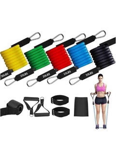 Buy Resistance Band Set, 14-Piece Anti-Snap Exercise Bands With Handles, Door Anchor, Ankle Strap, Training Manual, 5 Resistance Levels, Suitable for Men and Women, Includes Carrying Bag in UAE