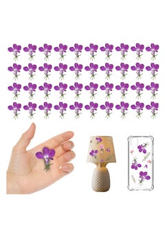 اشتري Purple Dried Flowers for Resin Crafts Embellishments, 60PCS Natural Pressed Dried Flowers for Resin Jewelry DIY Phone Case Decor Candle Making Decoration في الامارات