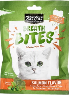 Buy Breath Bites Salmon Flavor Infused With Mint Cat Treats 60g in UAE