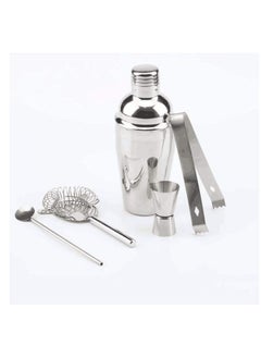 Buy 5-Piece Stainless Steel Cocktail Shaker Set Martini Bar Kit with 550ml Capacity in UAE