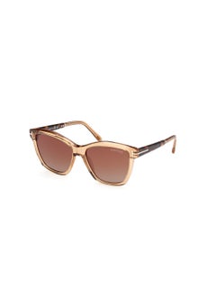 Buy Women's Square Shape Acetate Sunglasses FT108745F54 Lens Size: 54 Millimeter - Shiny Light Brown in Saudi Arabia