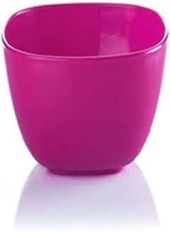 Buy M-DESIGN Eden basics small bowl (fuchsia) in Egypt