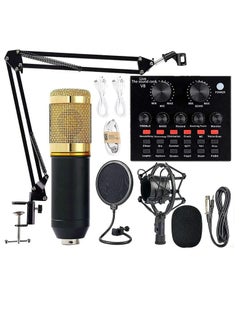 Buy Podcast Equipment Bundle,BM-800 Recording Studio Package with Voice Changer,Live Sound Card - Audio Interface for Laptop Computer Vlog Living Broadcast Live Streaming YouTube TikTok(V8) in UAE