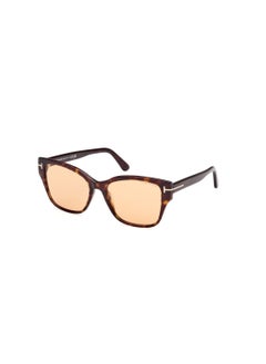 Buy Women's Butterfly Shape Acetate Sunglasses FT110852E55 Lens Size: 55 Millimeter - Dark Havana in Saudi Arabia