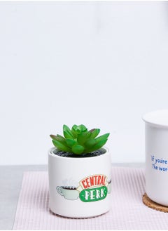 Buy Friends Central Perk Plant Pot Faux 6.5Cm in Saudi Arabia