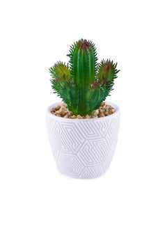 اشتري Parker Artificial potted plant in terracotta pot 7x7x10cm - Multicolor في الامارات