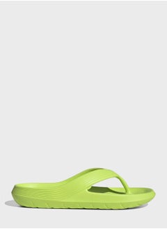 Buy Adicane Flip Flop in UAE