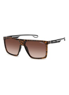 Buy Men's UV Protection Rectangular Shape  Sunglasses CARRERA 4019/S BROWN 47 - Lens Size: 46.9 Mm - Hvn in UAE