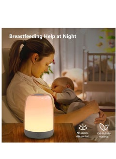 اشتري Nursery Night Light for Babies, Baby Night Light with Dimmable Warm Light, 5 Color Changing Light, Usb Rechargeable Bedside Night Light Lamp,  Led Touch Control Light for Baby Bedroom في السعودية