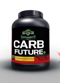 Buy Carb future with pineapple flavour 50 servings (25gram carb per serving) in Egypt