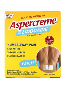 Buy Aspercreme Odor Free Max Strength Pain Relief Patch for Back Pain 5 count in UAE