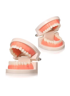 اشتري 2PCS Educational Dental Teaching Model, Dental Study Mouth Model Toy Dental Teeth Display Fake Dentures Demonstration Tool Dentures Demonstration for Kids Dental Teaching Study Supplies في الامارات