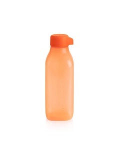 Buy Eco Bottle Square in Egypt