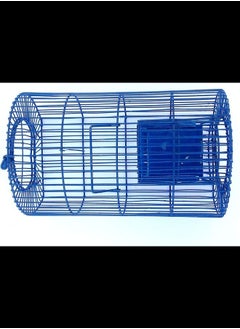 Buy Rat Mouse Trap Heavy Duty Snap Trap - Medium in UAE