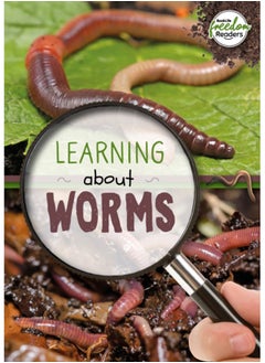 Buy Learning about Worms in UAE