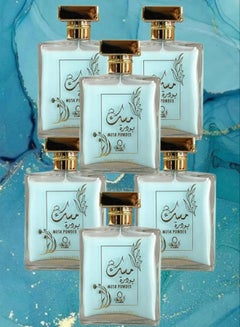 Buy 6 Pieces Musk Powder Perfume 100ML in Saudi Arabia