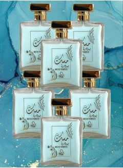 Buy 6 Pieces Musk Powder Perfume 100ML in Saudi Arabia