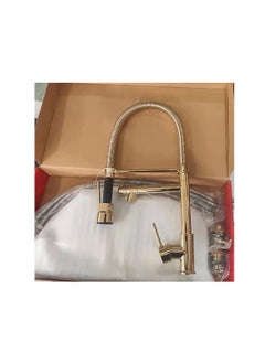 Buy Kitchen Faucet 2 Outlet Gold Color in Egypt