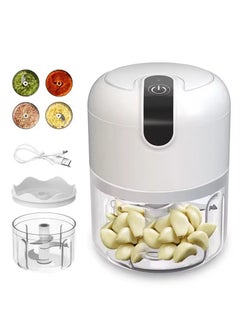 Buy Kitchen Portable 250ml, Electric Rechargeable Garlic Vegetable Chopper Mini Food Processor in UAE