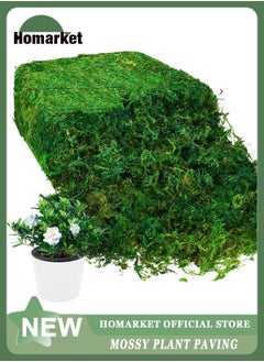 Buy Natural Green Moss for Crafts, Preserved Artificial Moss Potted Plants, Decorative Moss for Table Centerpieces Wedding Fairy Party Decor, Faux Moss for Indoor Planters, DIY Project (800g) in UAE