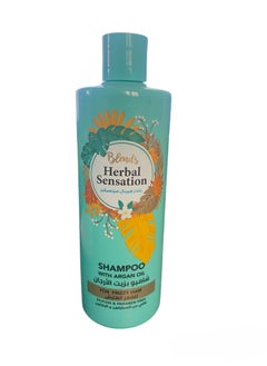 Buy Herbal Sensation Shampoo Frizzy Hair Argan Oil 600 ML in Egypt