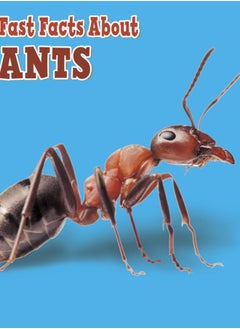 اشتري Fast Facts About Ants في السعودية