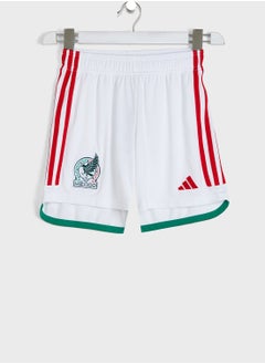 Buy Youth Mexico Shorts in UAE