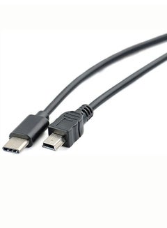 Buy Type-C Male to Mini USB 5-Pin Cable in Saudi Arabia