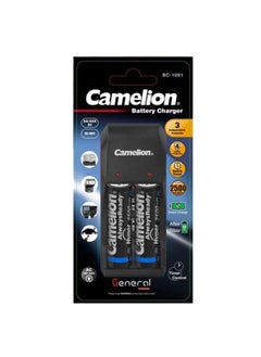 Buy Camelion BC-1091 Charger with 2 AA 2500 MAh Rechargeable Batteries in Egypt