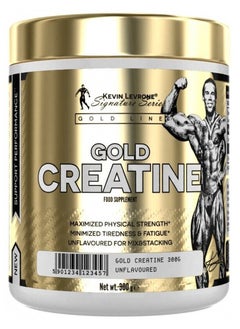 Buy Kevin Levrone Gold Creatine 60 Servings 300G in UAE