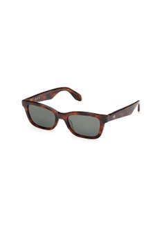 Buy Unisex Navigator Shape Acetate Sunglasses OR011752N53 Lens Size: 53 Millimeter - Blonde Havana in Saudi Arabia