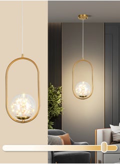 اشتري Modern LED Pendant Ceiling Light Fixture,Golden Pendant Oval Shape Round Glass Globe Ceiling hanging Indoor Decor Lamp for Living Room,Restaurant Bar Bedroom and Bedside Light,6W في الامارات