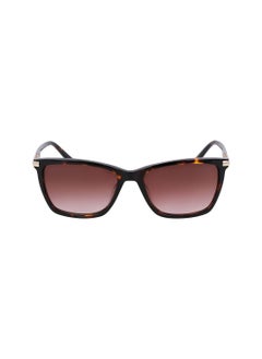 Buy UV Rays Protection Eyewear Sunglasses DK539S-237-5516 in Saudi Arabia