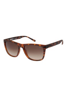 Buy Precision 8517 Men Polarized Rectangular Sunglasses Brown 57 mm in UAE