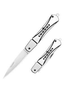 Buy EDC Folding Pocket Knife, Box Cutter, 2PCS Keychain Knife, Stainless Steel Portable Small Folding Knife for Men, Fruit Knife, Camping Knife for Everyday Carry, 2.6" Blade, Sliver in UAE
