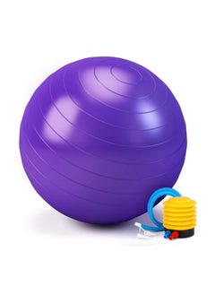 Buy Yoga Ball, Exercise Ball with Air Pump, Thickened Stability Balance Ball for Physical Fitness Exercise in UAE