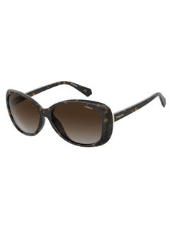 Buy Polarized Round Eyewear Sunglasses PLD 4097/S      HVN 58 in Saudi Arabia