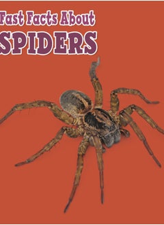 Buy Fast Facts About Spiders in Saudi Arabia