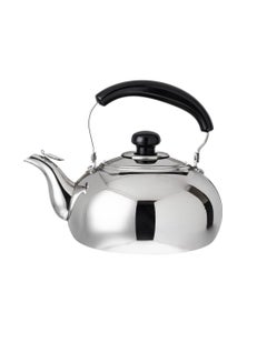 Buy Stainless Steel Teapot With Handle in Saudi Arabia