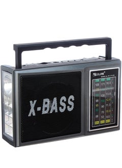 اشتري Radio x-bass with led torch, usb and 3 bands RX-166LED في مصر